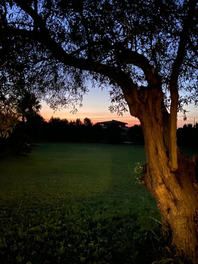 Villa Sarda Assemini Kültér fotó